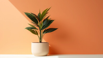 potted plant in a flowerpot with leaves and flowers, isolated and placed indoors for home decoration, showcasing growth and nature