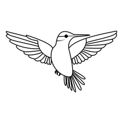 hummingbird single continuous one line out line vector art  drawing  and tattoo design
