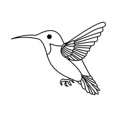 hummingbird single continuous one line out line vector art  drawing  and tattoo design