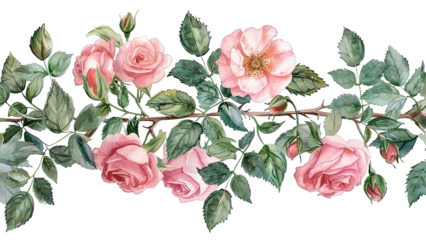 Behang Elegant Watercolor Pink Rose Arrangement Artwork © Thanthara