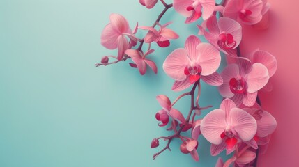 Orchid flower design colors with copy space. Generative AI.