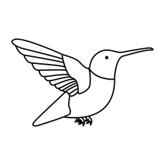 hummingbird single continuous one line out line vector art  drawing  and tattoo design