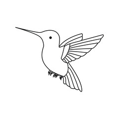 hummingbird single continuous one line out line vector art  drawing  and tattoo design