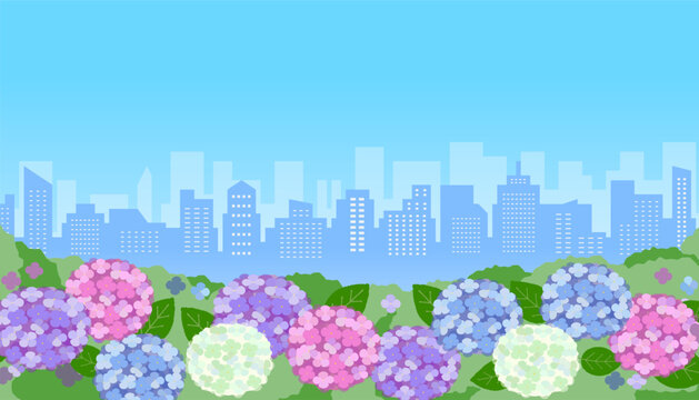vector background image of colorful hydrangea flowers in the town