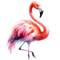 Wandcirkels plexiglas flamingo © WindArtMedia