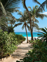 Caribean beach with trees