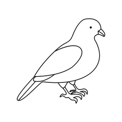 Pigean single continuous one line out line vector art  drawing  and tattoo design