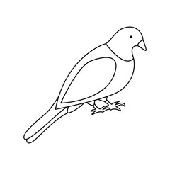 Pigean single continuous one line out line vector art  drawing  and tattoo design