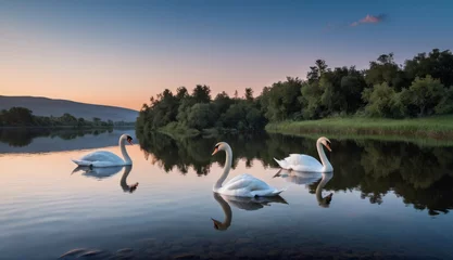 Zelfklevend Fotobehang a swans in the water at sunset. Generative AI. © zax