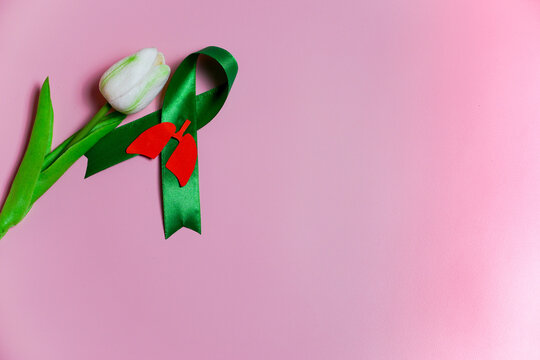 Red lung with green ribbon and flowers on pink background, for world TB day March 24, world no tobacco day, lung cancer