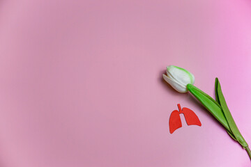 artificial tulips and lungs on a pink background, for world tuberculosis day March 24, world no...