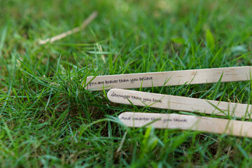 close up of the message on the ice cream stick on the grass as a concept of the spirit of life