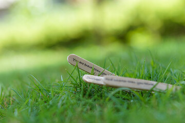 close up of the message on the ice cream stick on the grass as a concept of the spirit of life