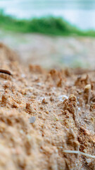 sand dunes on the beach