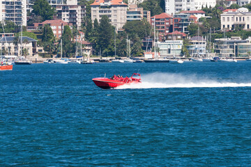 Obraz premium A jet boat tour in Sydney harbour.