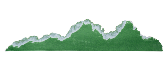 Ripped green color paper