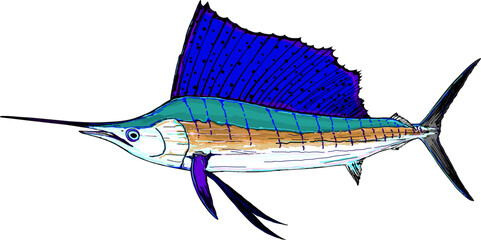 Full Color Sailfish