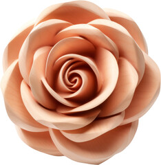 wooden rose,rose made of wood isolated on white or transparent background,transparency 