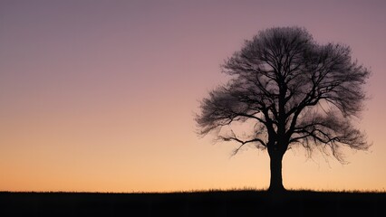 Naklejka premium Silhouette of Bare Tree Against Vibrant Sunset Sky