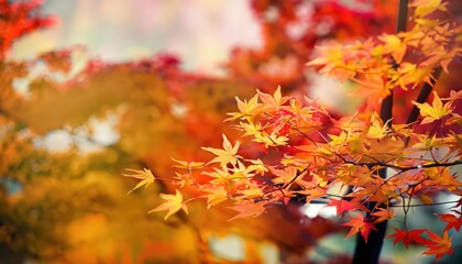 Naklejka na ściany i meble Autumn Maple leaves Landscape with blurred background