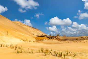 Te Paki Giant Sand Dunes, Northland, New Zealand © Colin & Linda McKie