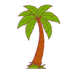 Date Palm Tree Illustration