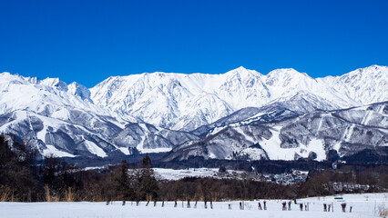 冬の白馬村　冠雪した北アルプス　白馬三山 © RATM
