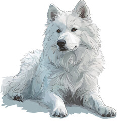 Cute Samoyed dog. Vector illustration of a dog.