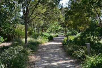 Fototapeta na wymiar Footpath through a beautiful park.