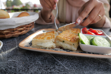 Traditional Turkish Cuisine Pastries borek on a plate 