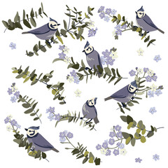 vector drawing birds, flowers and tree branches with leaves, hand drawn crested tits, set of isolated nature design elements