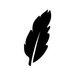 Bird Feather black silhouettes