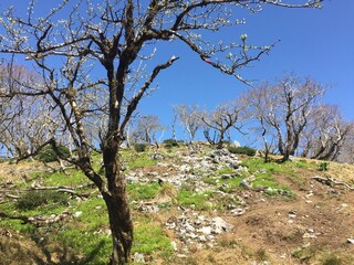 晴れた春の日の御池岳の景色、風景