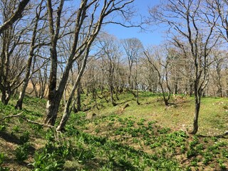 晴れた春の日の御池岳の景色、風景