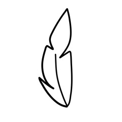 Feather outline icon