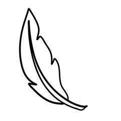 Feather outline icon