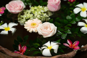 flowers on the water	