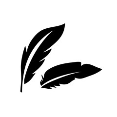 Feather vector