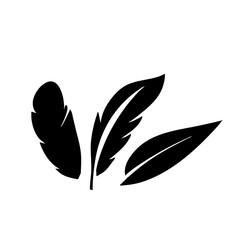 Feather vector