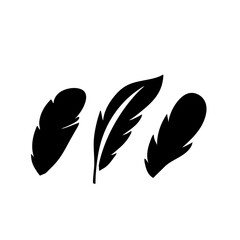 Feather vector