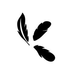 Feather vector