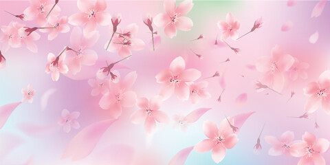 桜　春　花びら　背景	