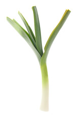 fresh leek with leaves isolated on a white background 
