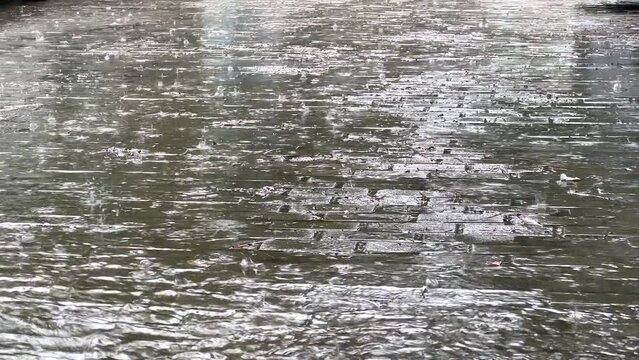 Close up rain drops during rain