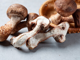 fresh pine mushrooms, organic food ingredients	