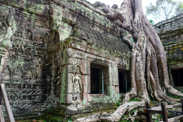 Siem Reap, Cambodia -December 11, 2023 : Angkor Wat temple complex in Cambodia. The largest temple in the world. Ta pronh