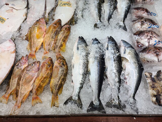 fresh fish on the market