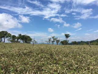 Obraz premium 比良山系の山からの天気の良い日の景色