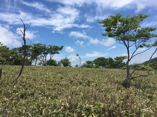 比良山系の山からの天気の良い日の景色