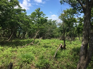 比良山系の山からの天気の良い日の景色